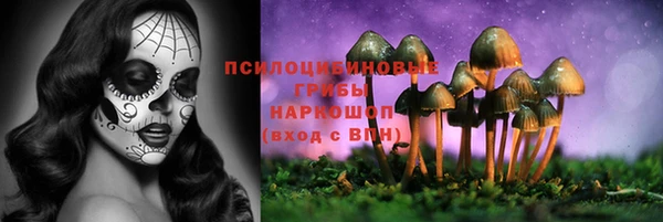бошки Вязьма