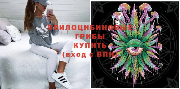 прущая мука Пересвет