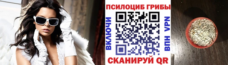 Псилоцибиновые грибы Cubensis  Зеленоградск 